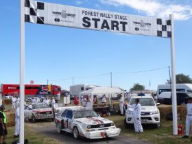 20-rallycars-1.JPG